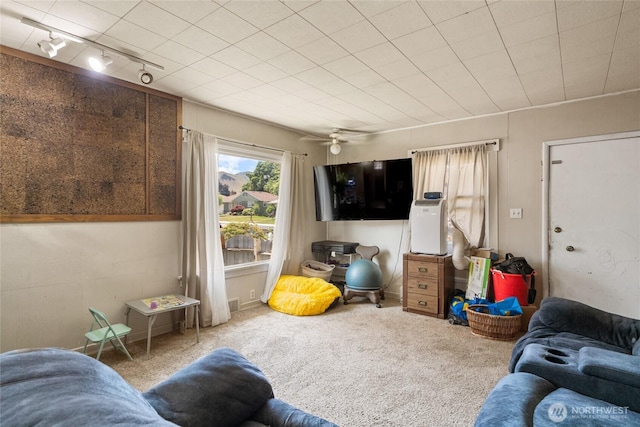 229 N Garfield Ave, Wenatchee, WA 98801 - living area featuring rail lighting and carpet