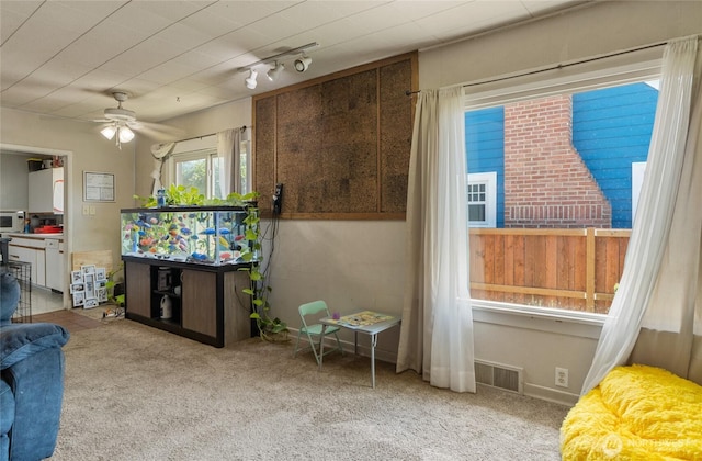 229 N Garfield Ave, Wenatchee, WA 98801 - living room with ceiling fan, carpet, and track lighting