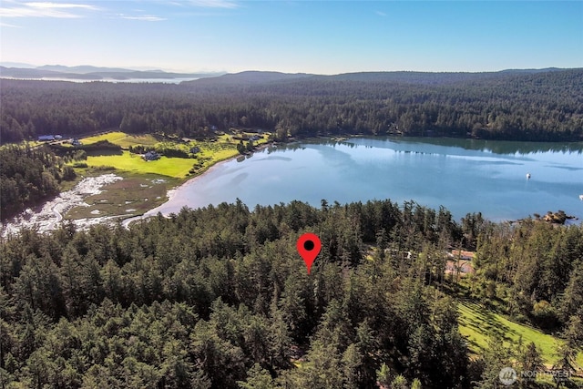 128 White Point Rd, Friday Harbor, WA 98250 - photo 7