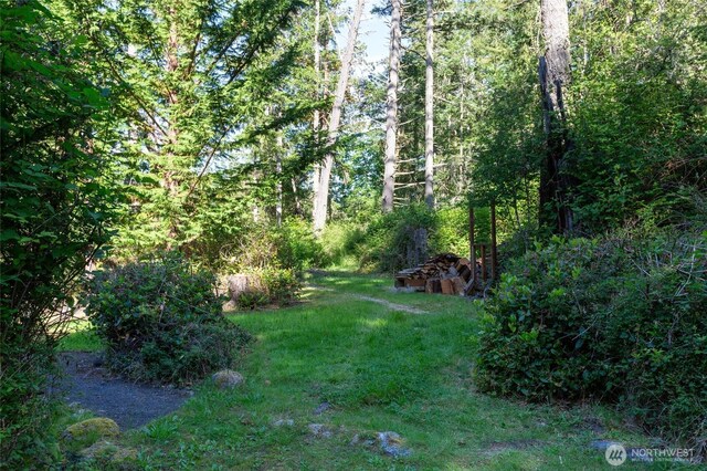 128 White Point Rd, Friday Harbor, WA 98250 - photo 23