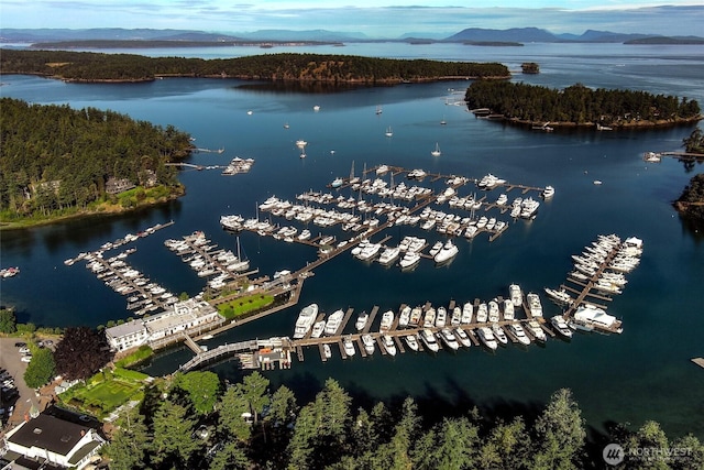 128 White Point Rd, Friday Harbor, WA 98250 - photo 39