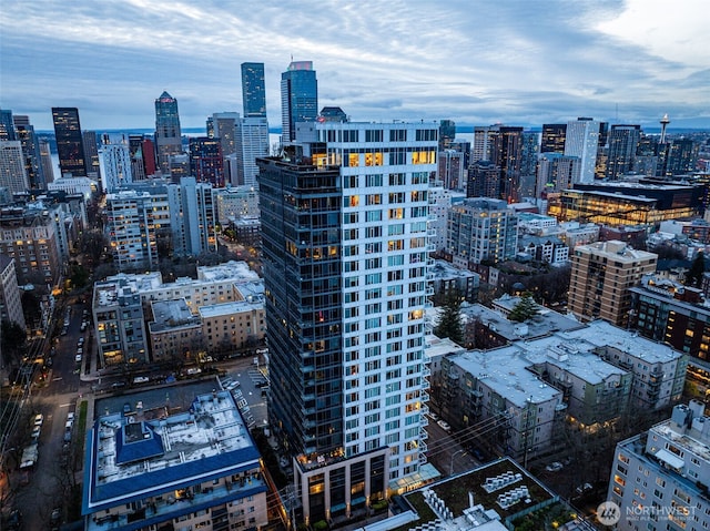 1321 Seneca St Unit 1001, Seattle, WA 98101 - view of city skyline