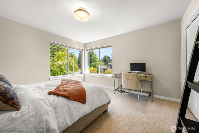 8704 188th St SW, Edmonds, WA 98026 - bedroom with carpet floors and baseboards