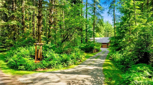 36915 NE 98th St, Carnation, WA 98014 - view of community with a view of trees
