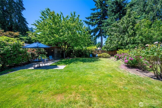 9539 49th Ave NE, Seattle, WA 98115 - view of yard featuring a patio area and an outbuilding
