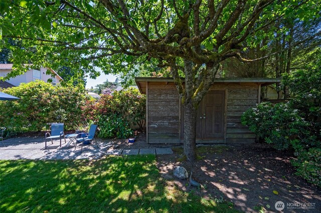 9539 49th Ave NE, Seattle, WA 98115 - view of grassy yard featuring a patio and an outdoor structure