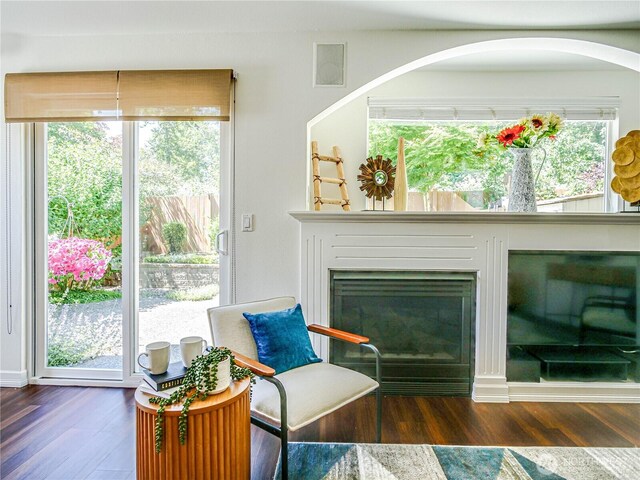 18808 19th Dr SE, Bothell, WA 98012 - sitting room with wood finished floors and a glass covered fireplace