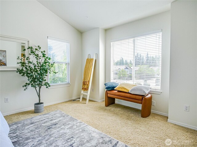 18808 19th Dr SE, Bothell, WA 98012 - sitting room with carpet floors and lofted ceiling