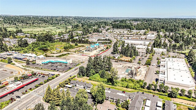 18808 19th Dr SE, Bothell, WA 98012 - aerial view