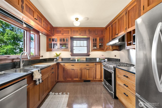 251 N Garden St, Bellingham, WA 98225 - kitchen featuring stainless steel appliances, under cabinet range hood, dark countertops, and healthy amount of natural light
