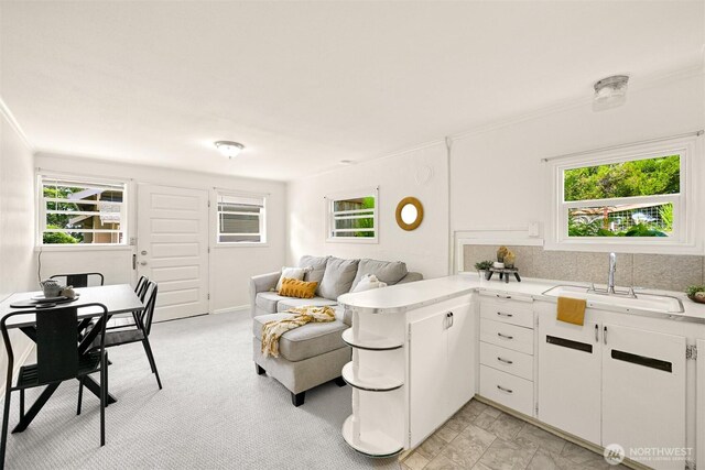 251 N Garden St, Bellingham, WA 98225 - living area featuring ornamental molding
