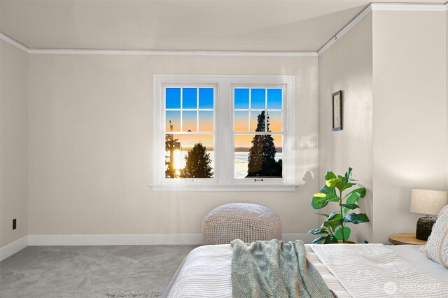 251 N Garden St, Bellingham, WA 98225 - bedroom featuring carpet and ornamental molding