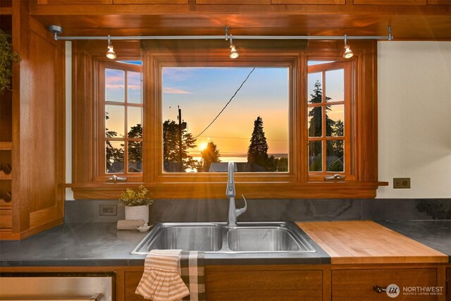 251 N Garden St, Bellingham, WA 98225 - kitchen with track lighting, butcher block countertops, stainless steel dishwasher, and brown cabinetry