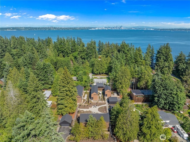 600 Park Ave NE, Bainbridge Island, WA 98110 - photo 21