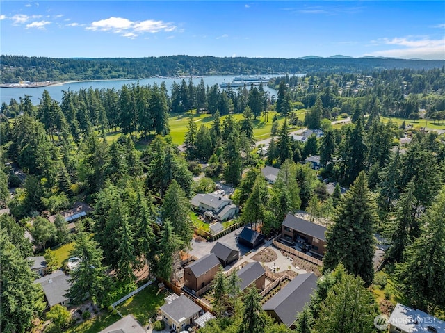 600 Park Ave NE, Bainbridge Island, WA 98110 - photo 22