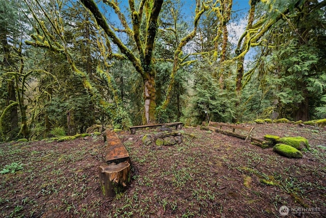 43204 NE 76th Ave, Woodland, WA 98674 - photo 37
