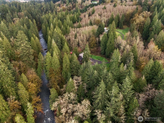 43204 NE 76th Ave, Woodland, WA 98674 - photo 40