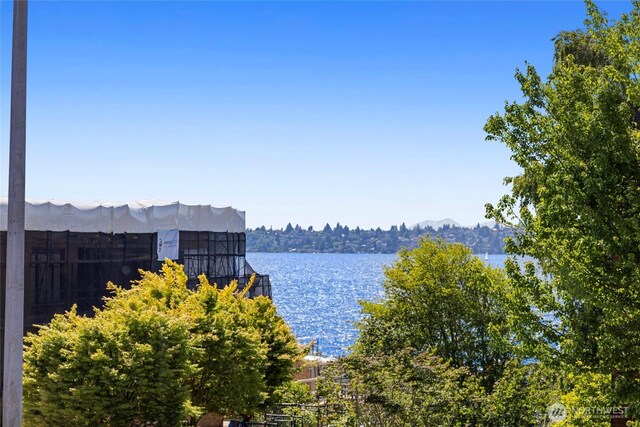 826 Lake St S, Kirkland, WA 98033 - water view