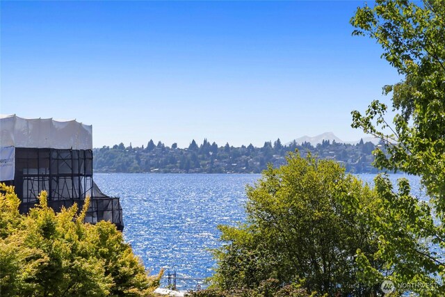826 Lake St S, Kirkland, WA 98033 - water view