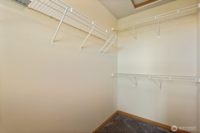 3031 Belmonte Ln, Everett, WA 98201 - walk in closet with carpet floors
