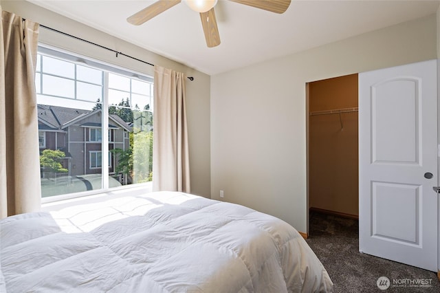 3031 Belmonte Ln, Everett, WA 98201 - carpeted bedroom featuring a spacious closet, a closet, and ceiling fan