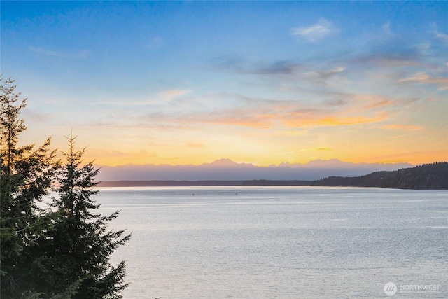 2781 Chambers Point Ct, Steilacoom, WA 98388 - photo 34