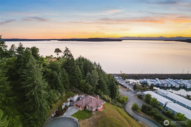 2781 Chambers Point Ct, Steilacoom, WA 98388 - photo 39