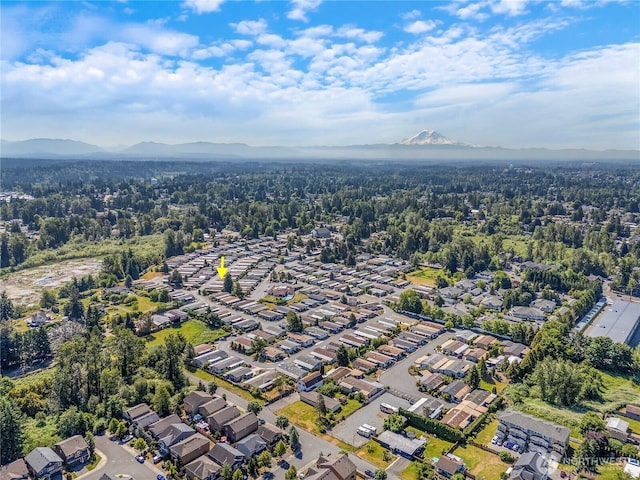 11436 SE 208th St Unit 45, Kent, WA 98031 - aerial overview of property's location featuring a mountain backdrop and nearby suburban area