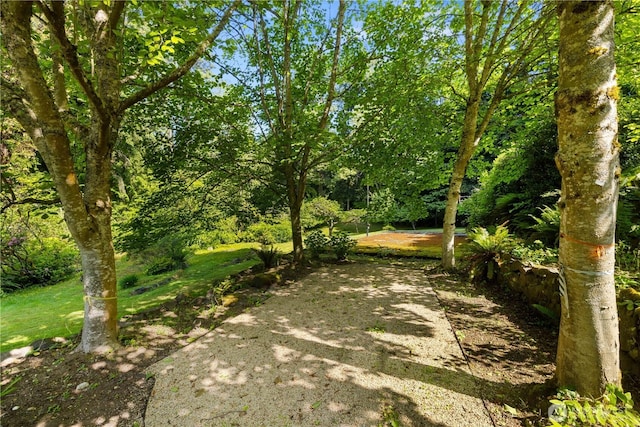 105 NW Highland Dr, Shoreline, WA 98177 - photo 15