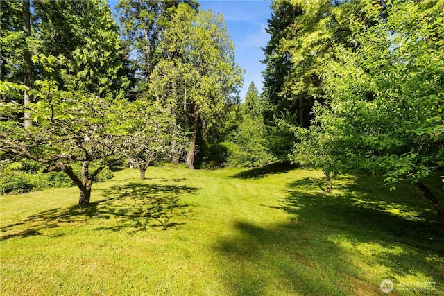 105 NW Highland Dr, Shoreline, WA 98177 - photo 18