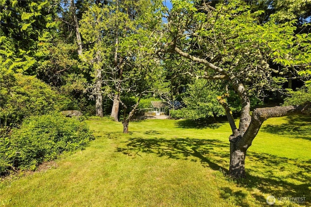 105 NW Highland Dr, Shoreline, WA 98177 - photo 19