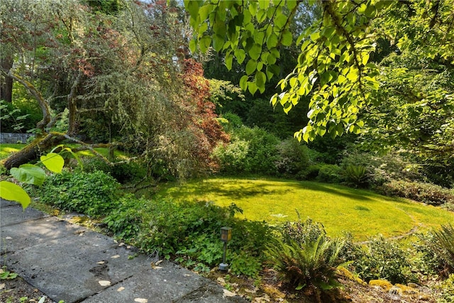 105 NW Highland Dr, Shoreline, WA 98177 - photo 21
