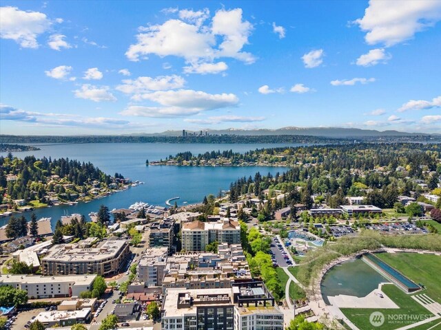 10700 NE 4th St Unit 712, Bellevue, WA 98004 - aerial view of a water and mountain view