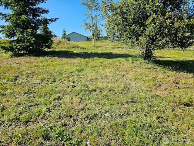 119 Davis View Dr, Centralia, WA 98531 - view of yard featuring a view of rural / pastoral area