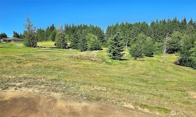 119 Davis View Dr, Centralia, WA 98531 - view of grassy yard