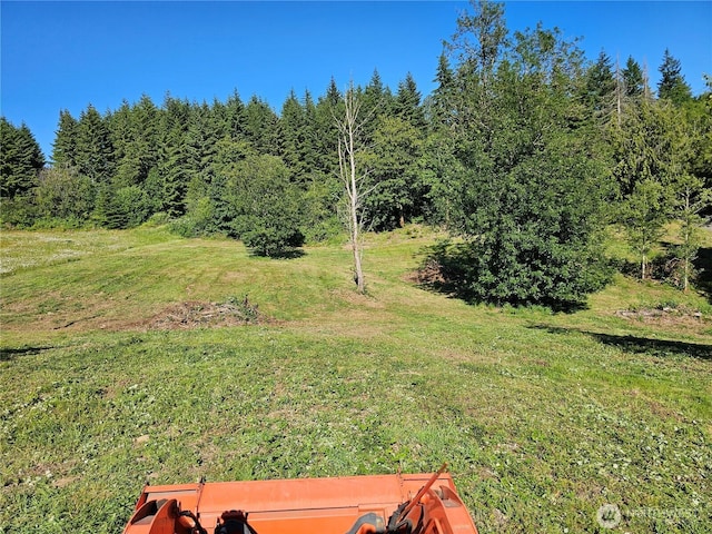 119 Davis View Dr, Centralia, WA 98531 - view of grassy yard with a view of trees