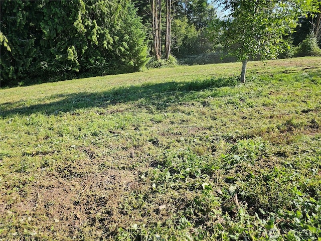 119 Davis View Dr, Centralia, WA 98531 - view of green lawn