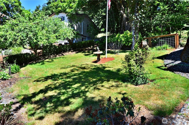 1923 SE Maple Dr, Chehalis, WA 98532 - view of grassy yard