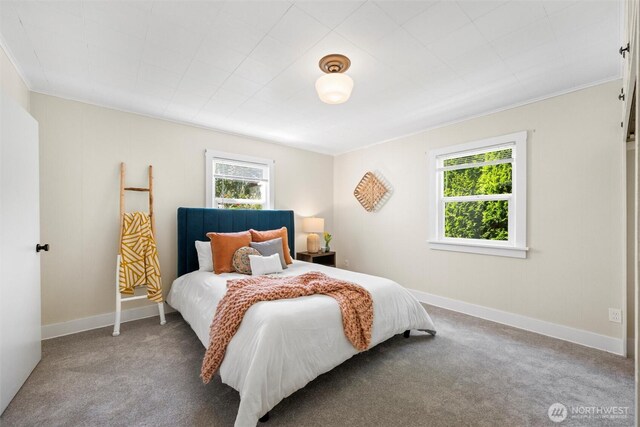 3032 Tulip Rd, Bellingham, WA 98225 - bedroom with multiple windows, carpet, and crown molding