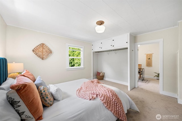 3032 Tulip Rd, Bellingham, WA 98225 - bedroom featuring light carpet and a closet