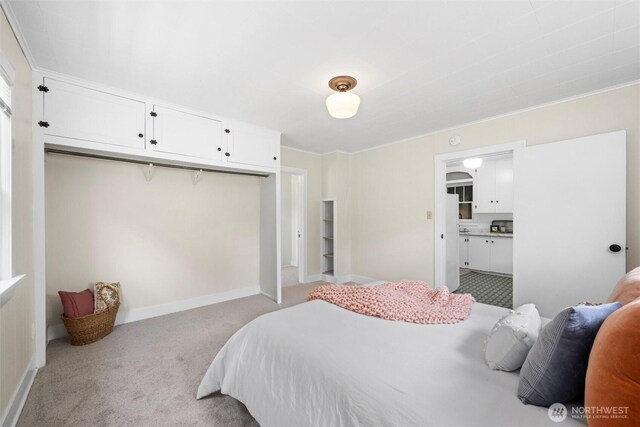 3032 Tulip Rd, Bellingham, WA 98225 - bedroom featuring a closet, light colored carpet, and crown molding