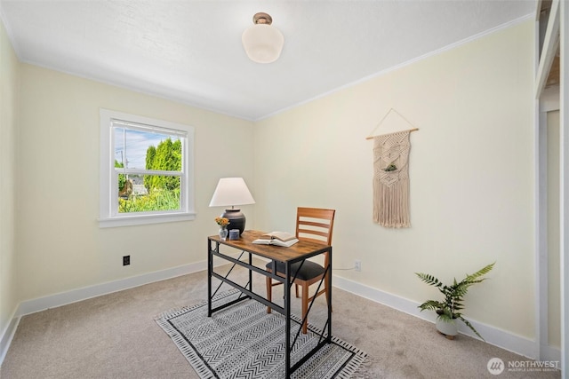 3032 Tulip Rd, Bellingham, WA 98225 - office space with carpet floors and crown molding