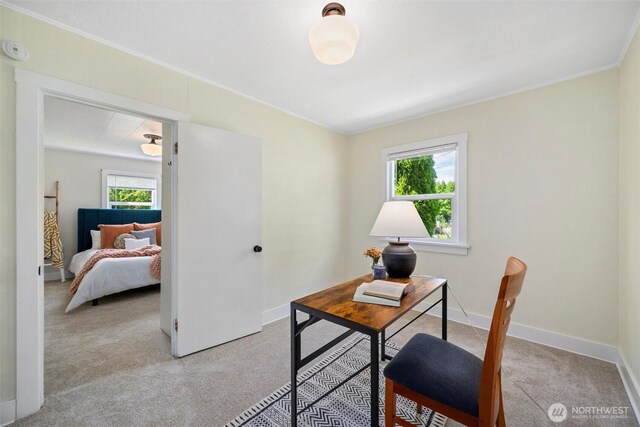 3032 Tulip Rd, Bellingham, WA 98225 - office with light carpet, plenty of natural light, and crown molding