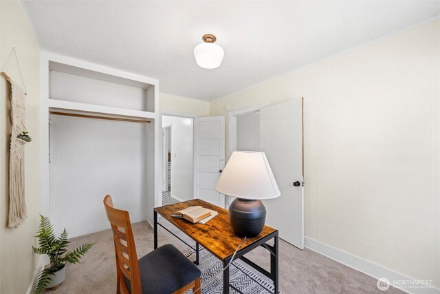 3032 Tulip Rd, Bellingham, WA 98225 - office area featuring light colored carpet