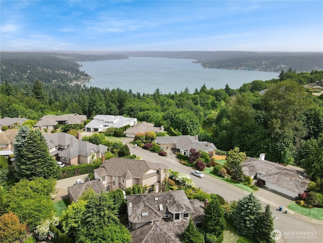 16901 SE 45th St, Bellevue, WA 98006 - aerial perspective of suburban area with a large body of water