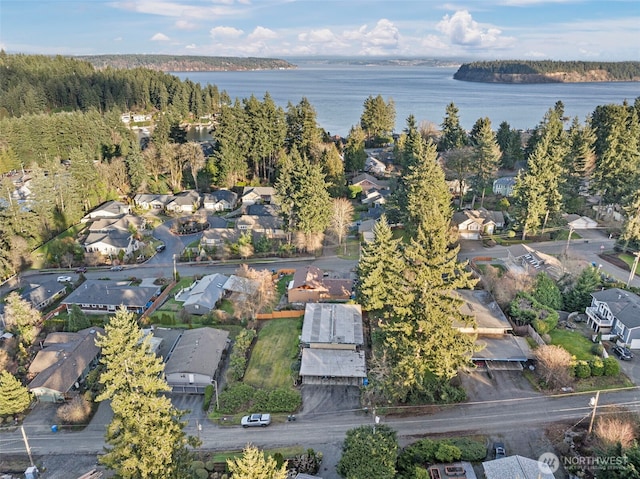 7409 Hill Ave, Gig Harbor, WA 98335 - photo 5