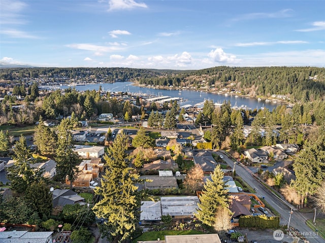 7409 Hill Ave, Gig Harbor, WA 98335 - photo 6