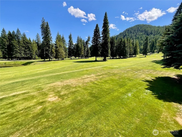 20795 Kahler Dr Unit E7, Leavenworth, WA 98826 - view of community with a lawn, a view of trees, and golf course view