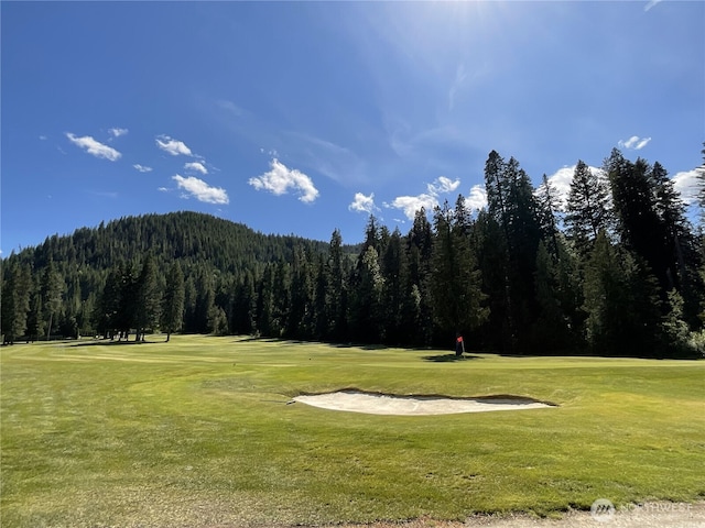 20795 Kahler Dr Unit E7, Leavenworth, WA 98826 - view of property's community featuring a view of trees, a yard, and golf course view