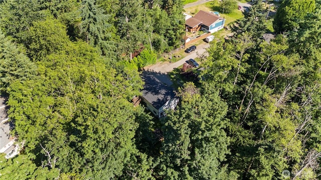1216 NE Vena Ave, Bremerton, WA 98311 - aerial view
